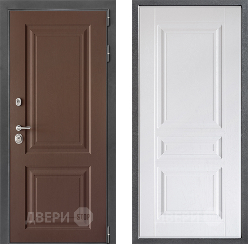 Входная металлическая Дверь Дверной континент ДК-3/729 ФЛ-243 Альберо Браш серебро в Подольск