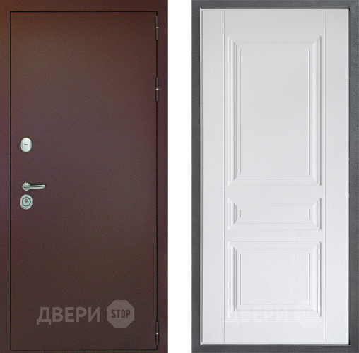 Входная металлическая Дверь Дверной континент Рубикон Медь Дизайн ФЛ-243 Альберо Браш серебро в Подольск