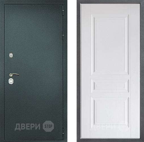 Входная металлическая Дверь Дверной континент Рубикон Серебро Дизайн ФЛ-243 Альберо Браш серебро в Подольск