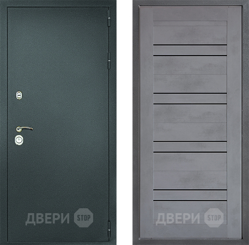 Входная металлическая Дверь Дверной континент Рубикон Серебро Дизайн ФЛ-49 Бетон серый в Подольск
