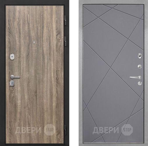 Входная металлическая Дверь Интекрон (INTECRON) Гектор Дуб Турин Лучи-М Графит софт в Подольск