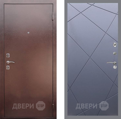 Дверь Рекс (REX) 1 FL-291 Силк титан в Подольск