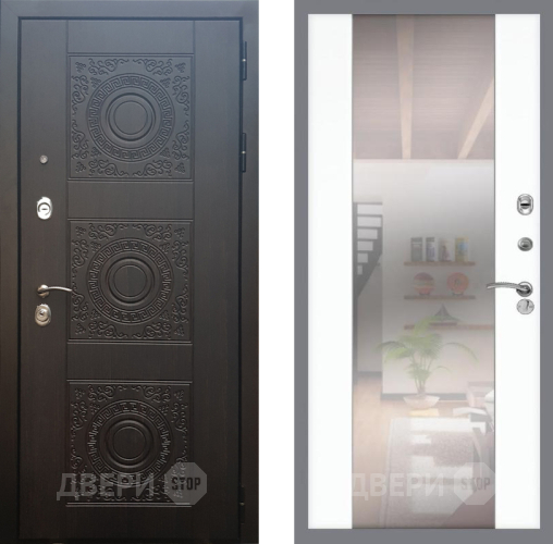Входная металлическая Дверь Рекс (REX) 10 СБ-16 Зеркало Силк Сноу в Подольск