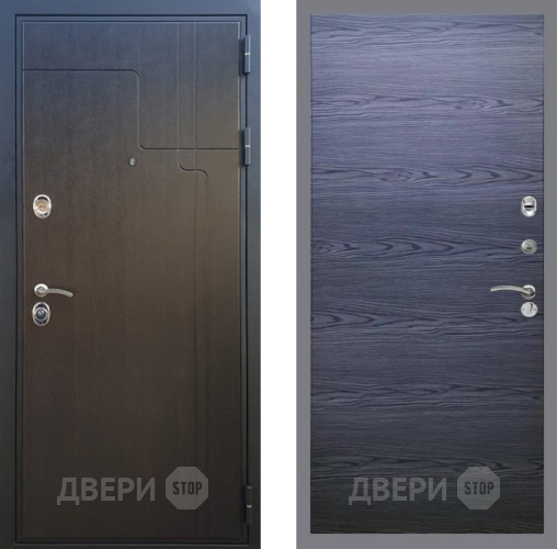 Входная металлическая Дверь Рекс (REX) Премиум-246 GL Дуб тангенальный черный в Подольск
